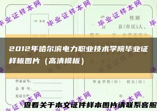2012年哈尔滨电力职业技术学院毕业证样板图片（高清模板）缩略图