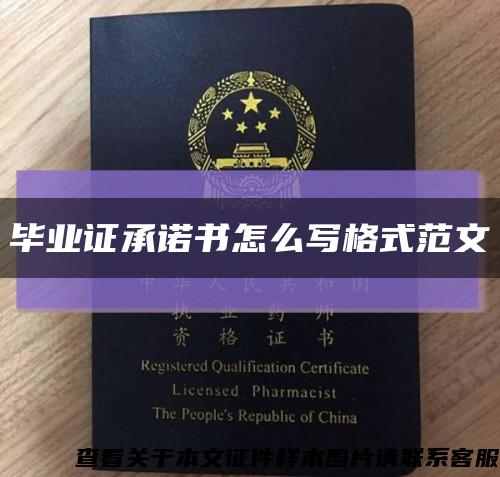 毕业证承诺书怎么写格式范文缩略图