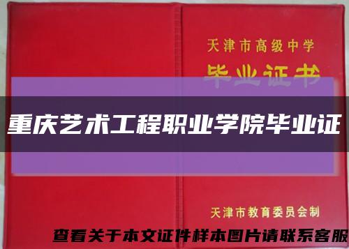 重庆艺术工程职业学院毕业证缩略图