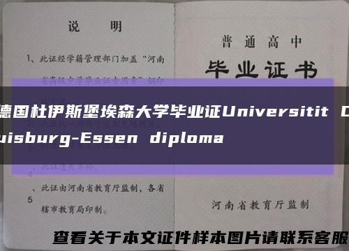 德国杜伊斯堡埃森大学毕业证Universitit Duisburg-Essen diploma缩略图