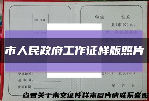 市人民政府工作证样版照片缩略图