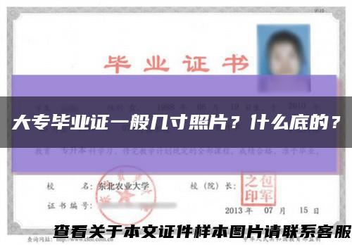 大专毕业证一般几寸照片？什么底的？缩略图