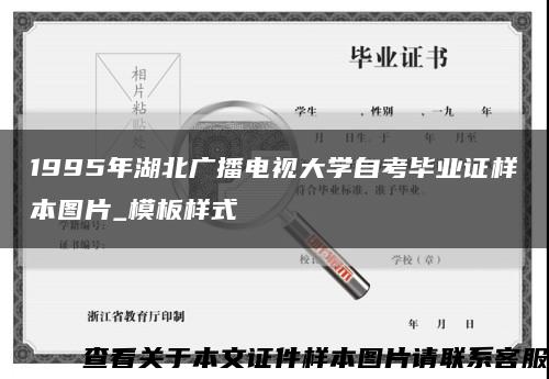 1995年湖北广播电视大学自考毕业证样本图片_模板样式缩略图