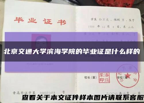 北京交通大学滨海学院的毕业证是什么样的缩略图