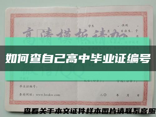 如何查自己高中毕业证编号缩略图