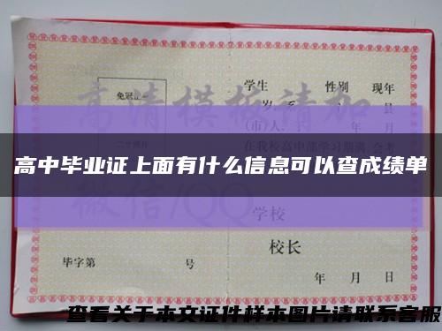 高中毕业证上面有什么信息可以查成绩单缩略图