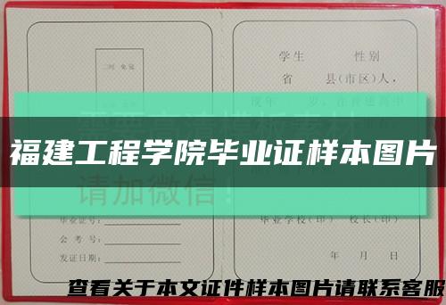 福建工程学院毕业证样本图片缩略图