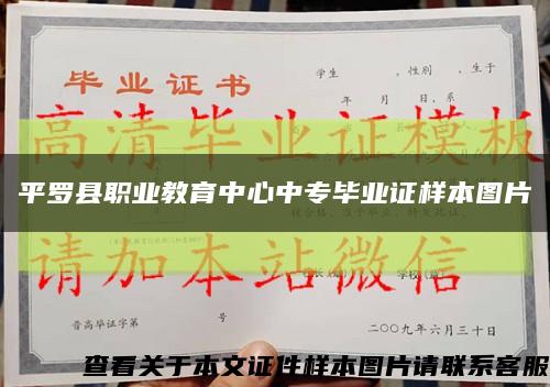 平罗县职业教育中心中专毕业证样本图片缩略图