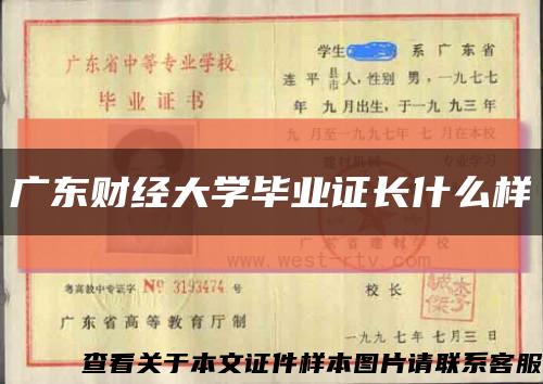 广东财经大学毕业证长什么样缩略图