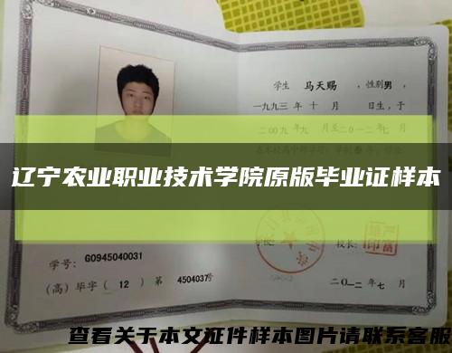 辽宁农业职业技术学院原版毕业证样本缩略图