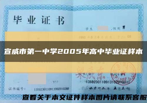 宣威市第一中学2005年高中毕业证样本缩略图