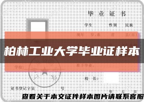 柏林工业大学毕业证样本缩略图