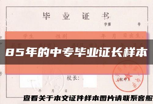 85年的中专毕业证长样本缩略图