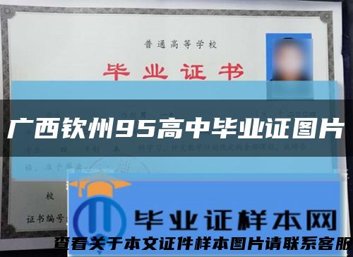 广西钦州95高中毕业证图片缩略图