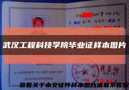 武汉工程科技学院毕业证样本图片缩略图