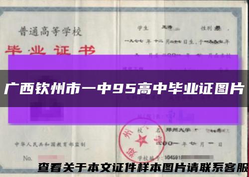 广西钦州市一中95高中毕业证图片缩略图