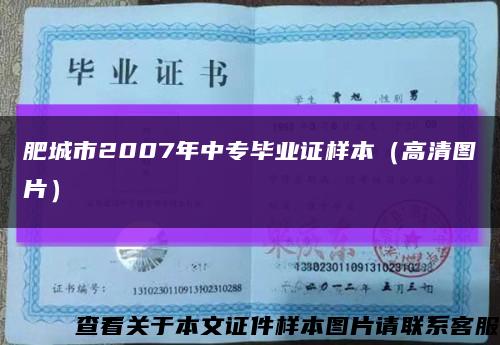 肥城市2007年中专毕业证样本（高清图片）缩略图