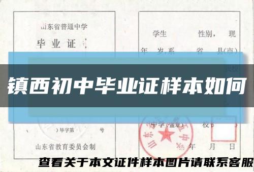镇西初中毕业证样本如何缩略图