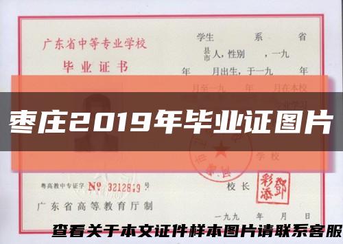 枣庄2019年毕业证图片缩略图