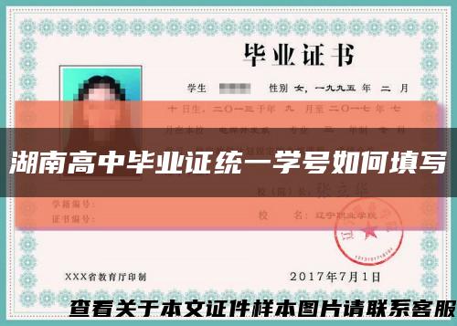 湖南高中毕业证统一学号如何填写缩略图