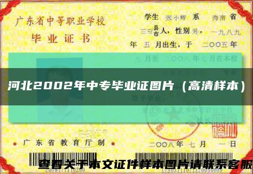 河北2002年中专毕业证图片（高清样本）缩略图