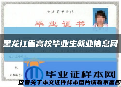 黑龙江省高校毕业生就业信息网缩略图
