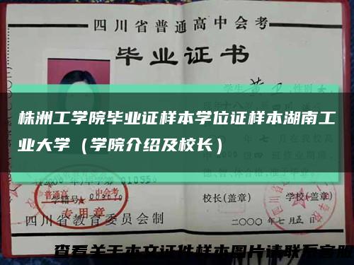 株洲工学院毕业证样本学位证样本湖南工业大学（学院介绍及校长）缩略图