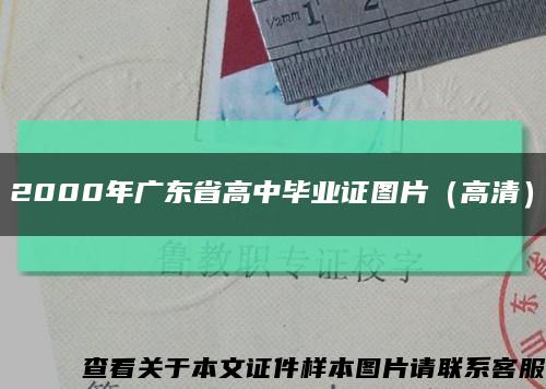 2000年广东省高中毕业证图片（高清）缩略图