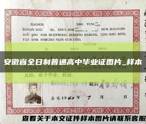 安徽省全日制普通高中毕业证图片_样本缩略图