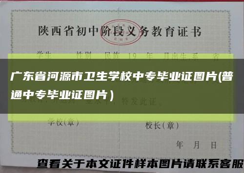 广东省河源市卫生学校中专毕业证图片(普通中专毕业证图片）缩略图