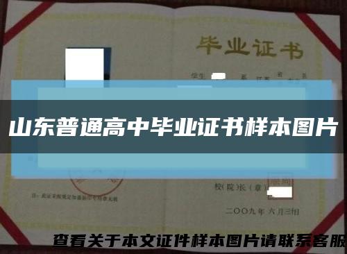 山东普通高中毕业证书样本图片缩略图