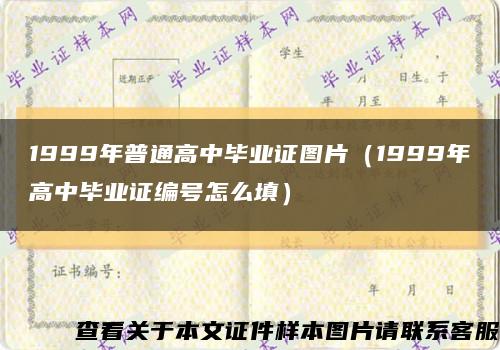 1999年普通高中毕业证图片（1999年高中毕业证编号怎么填）缩略图
