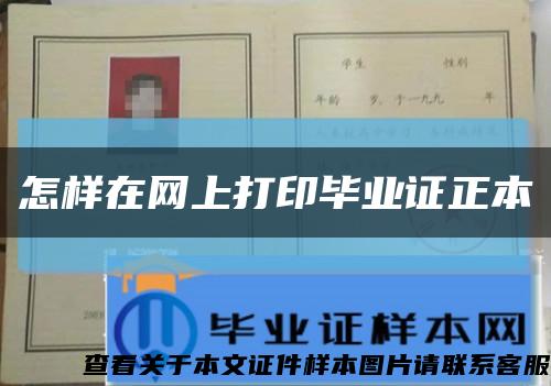 怎样在网上打印毕业证正本缩略图