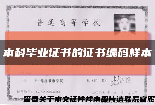 本科毕业证书的证书编码样本缩略图