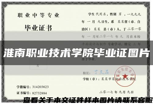 淮南职业技术学院毕业证图片缩略图