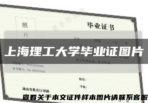 上海理工大学毕业证图片缩略图