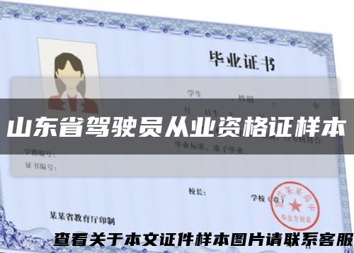 山东省驾驶员从业资格证样本缩略图
