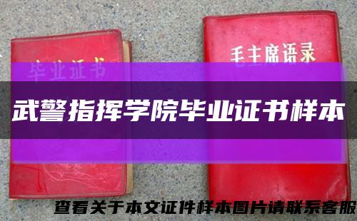 武警指挥学院毕业证书样本缩略图
