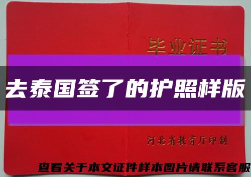 去泰国签了的护照样版缩略图