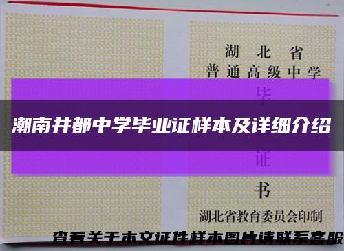 潮南井都中学毕业证样本及详细介绍缩略图