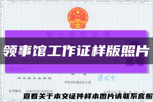 领事馆工作证样版照片缩略图