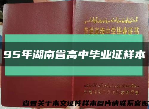 95年湖南省高中毕业证样本缩略图