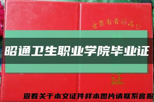 昭通卫生职业学院毕业证缩略图