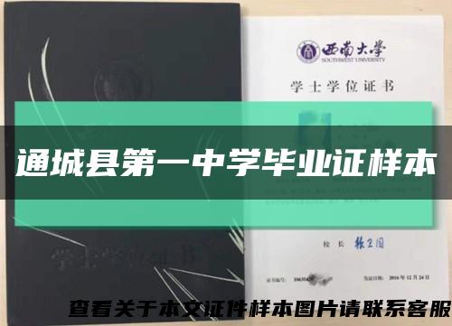 通城县第一中学毕业证样本缩略图
